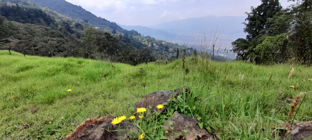 Lote en venta en El Poblado, Medellín [No disponible] 2