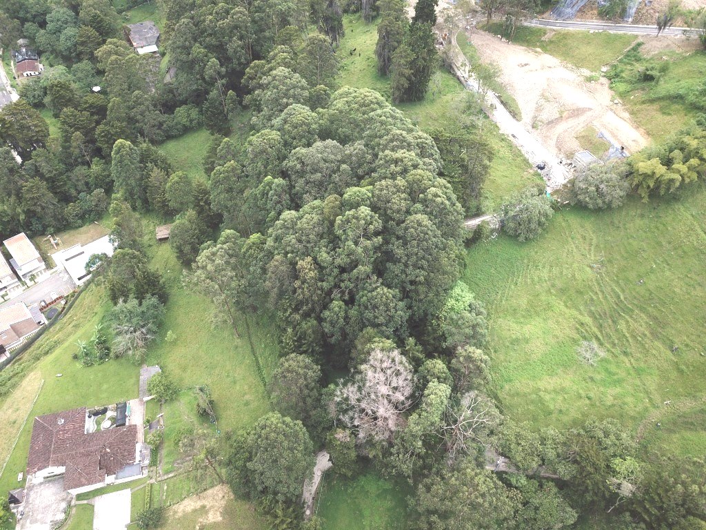 Lote en venta en El Poblado, Medellín [No disponible] 5
