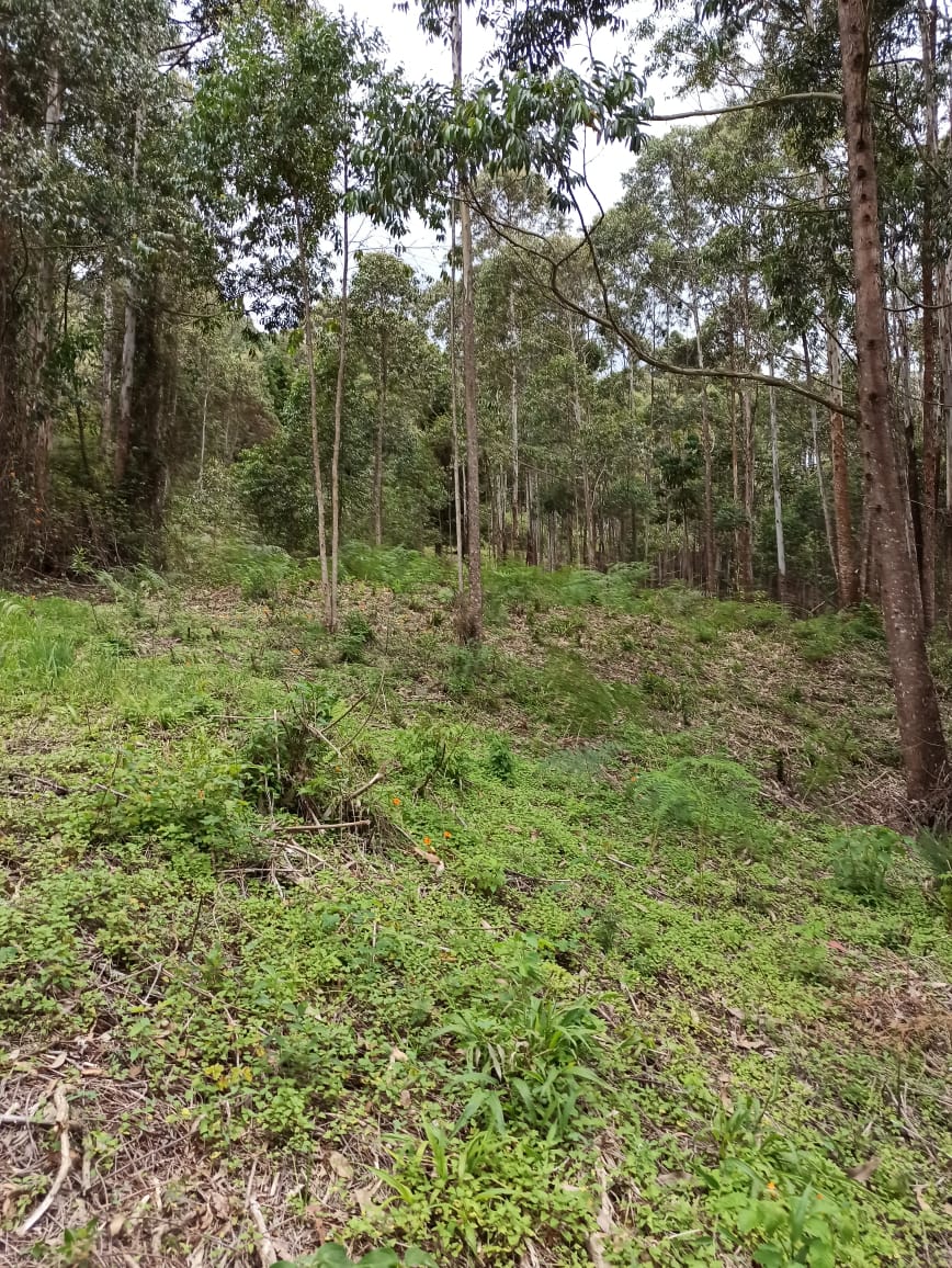 Lote en venta en La candelaria, Medellín [No disponible] 3