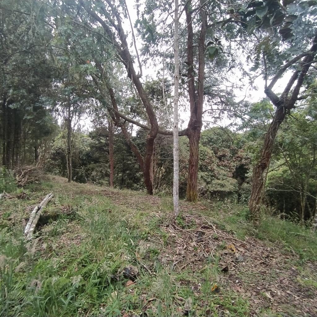 Lote en Venta en Pantanillo, El Retiro - 2