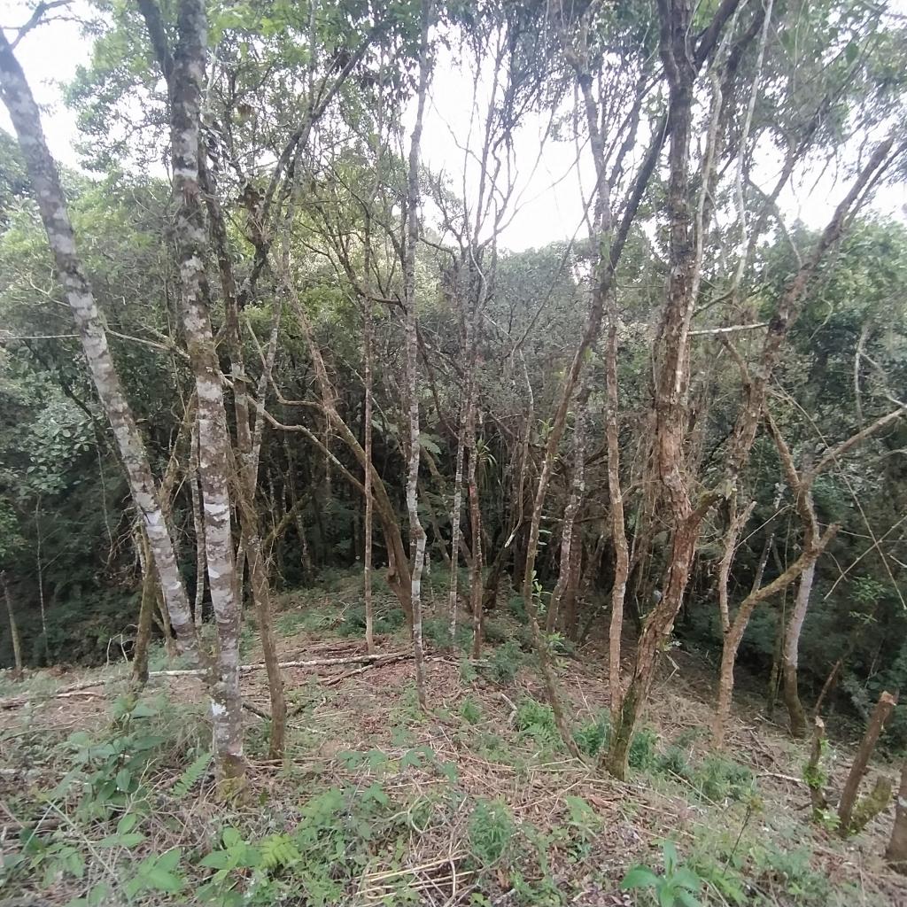 Lote en Venta en Pantanillo, El Retiro - 3