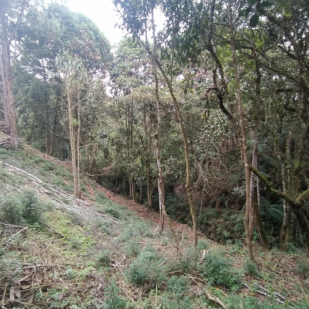 Lote en Venta en Pantanillo, El Retiro - 4