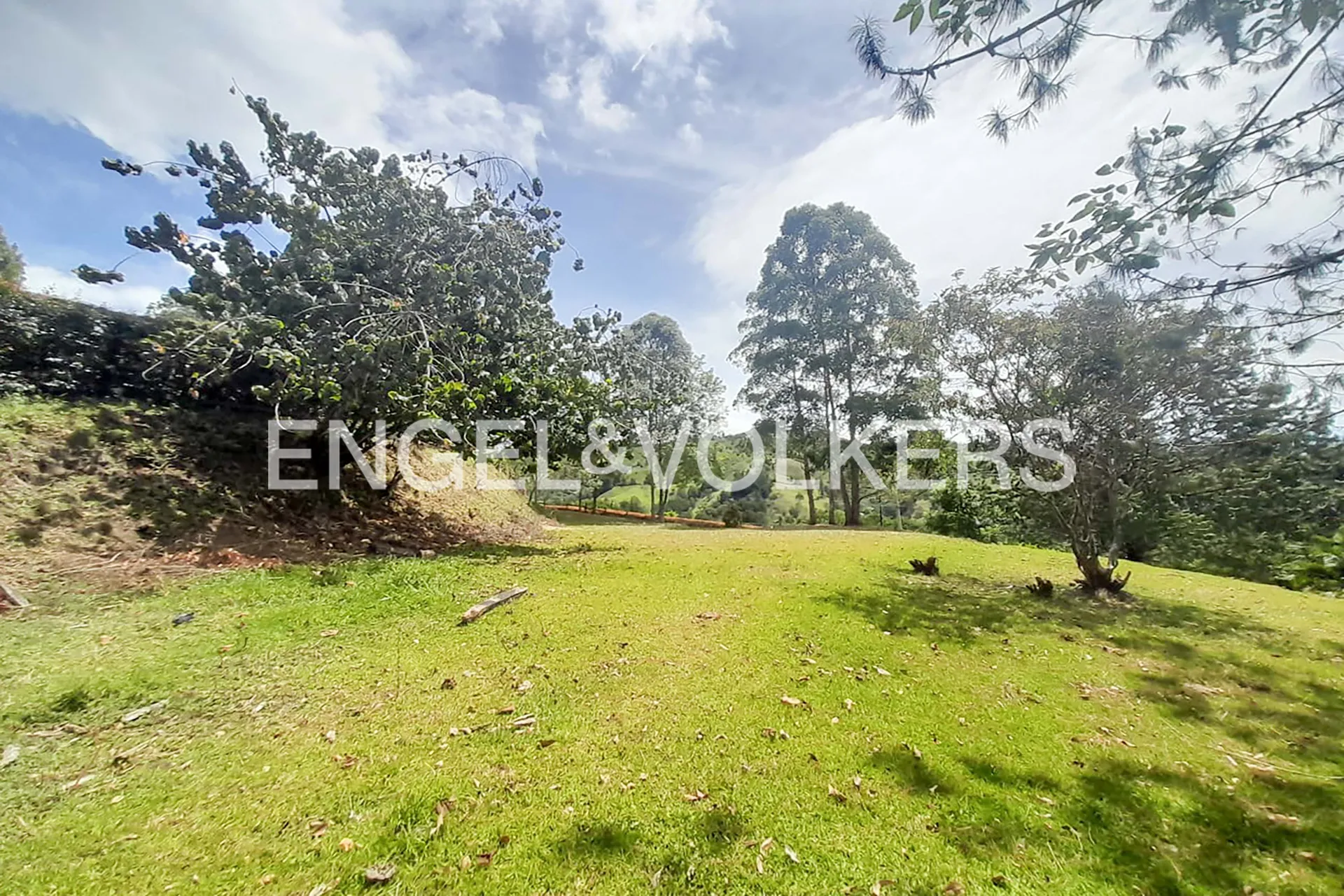 Land in Los salados for Sale - 4