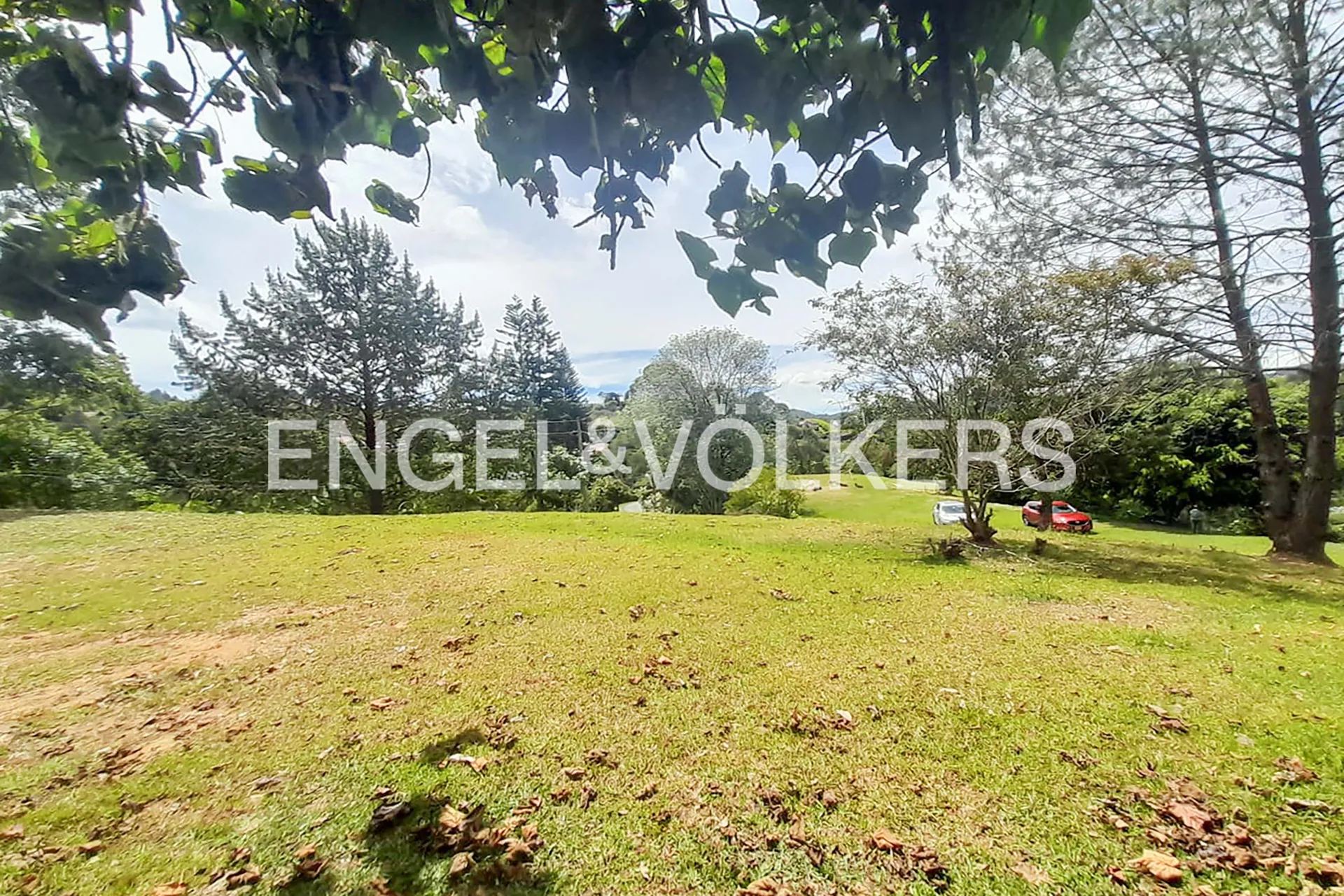 Land in Los salados for Sale - 3