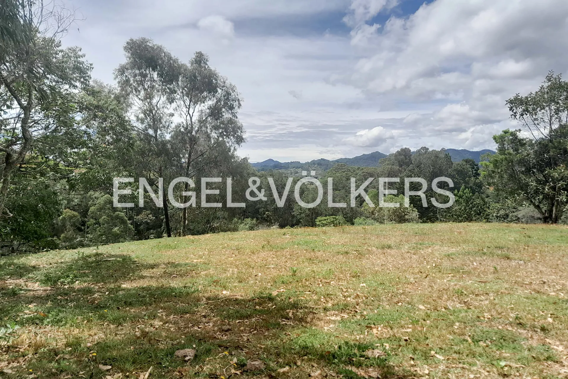 Land in Los salados for Sale - 2
