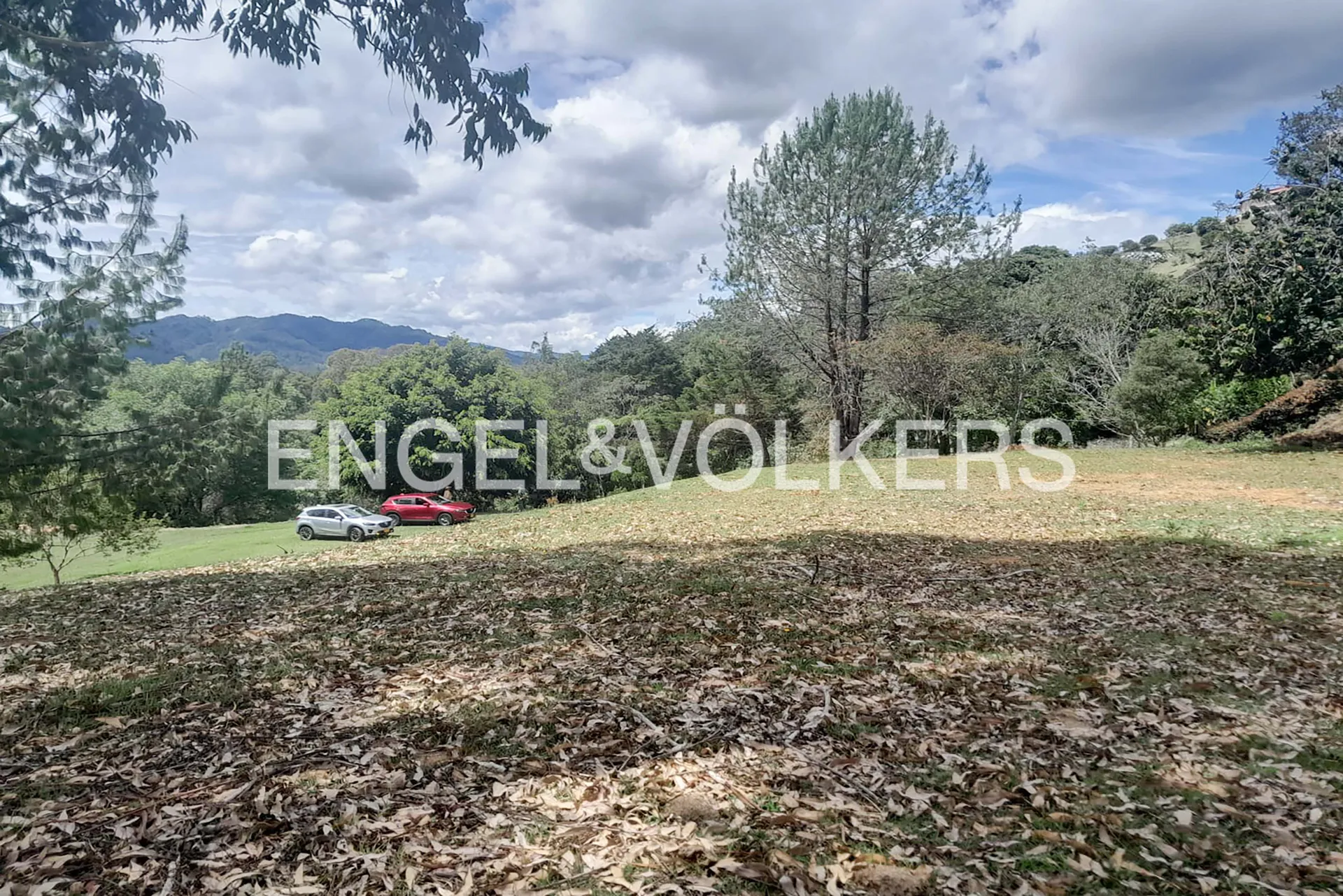Land in Los salados for Sale