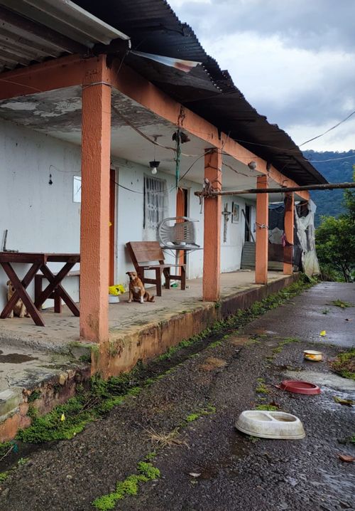 Finca en venta en La Union, Dosquebradas, 12800 m² · foto 3 de 3