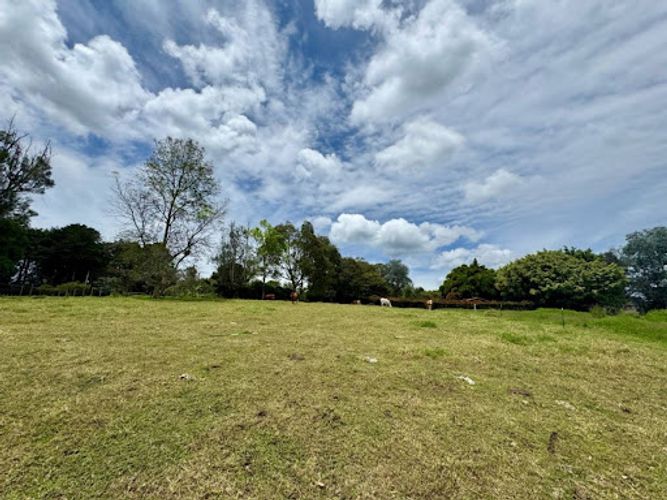 Lote en venta en Cabeceras De Llanogrande, Rionegro, 5413 m² · foto 2 de 13