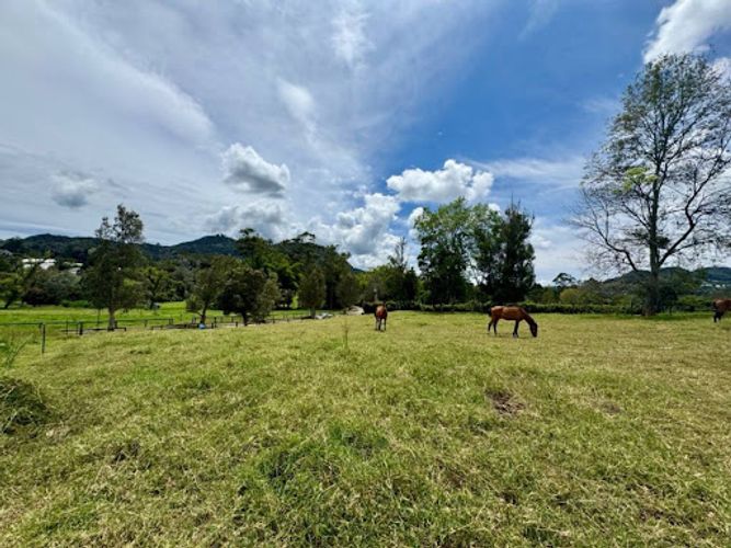 Lote en venta en Cabeceras De Llanogrande, Rionegro, 5413 m² · foto 5 de 13