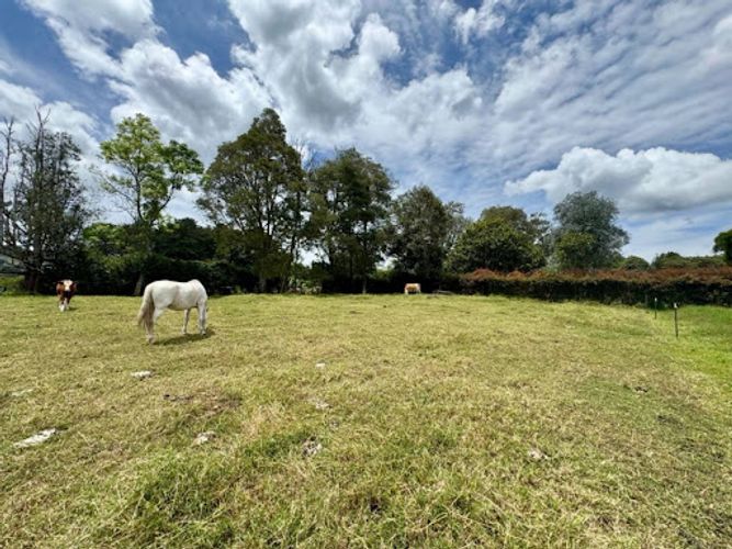 Lote en venta en Cabeceras De Llanogrande, Rionegro, 5413 m² · foto 6 de 13