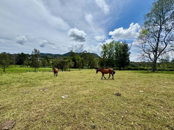 Lote en venta en Cabeceras De Llanogrande, Rionegro, 5413 m² · foto 7 de 13