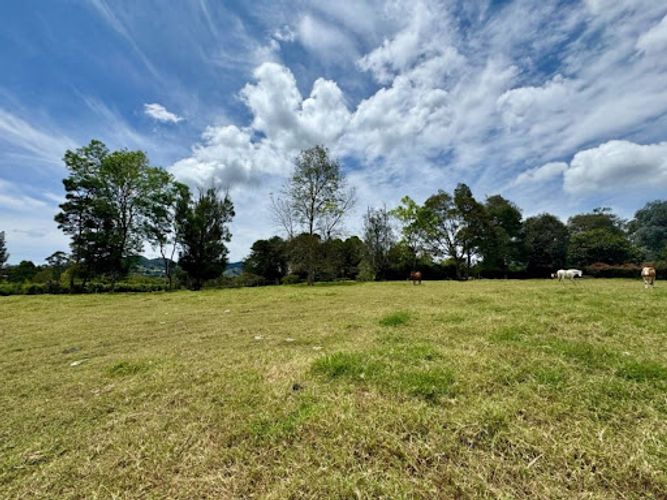 Lote en venta en Cabeceras De Llanogrande, Rionegro, 5413 m² · foto 8 de 13