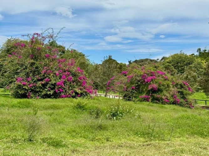 Lote en venta en Cabeceras De Llanogrande, Rionegro, 5413 m² · foto 12 de 13