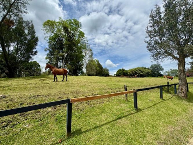 Lote en venta en Cabeceras De Llanogrande, Rionegro, 5413 m² · foto 13 de 13
