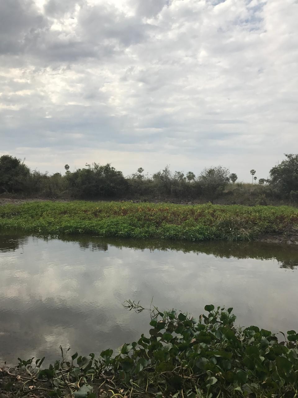Excelente Oportunidad de Inversión en Villeta - Propiedad en Venta — foto 2