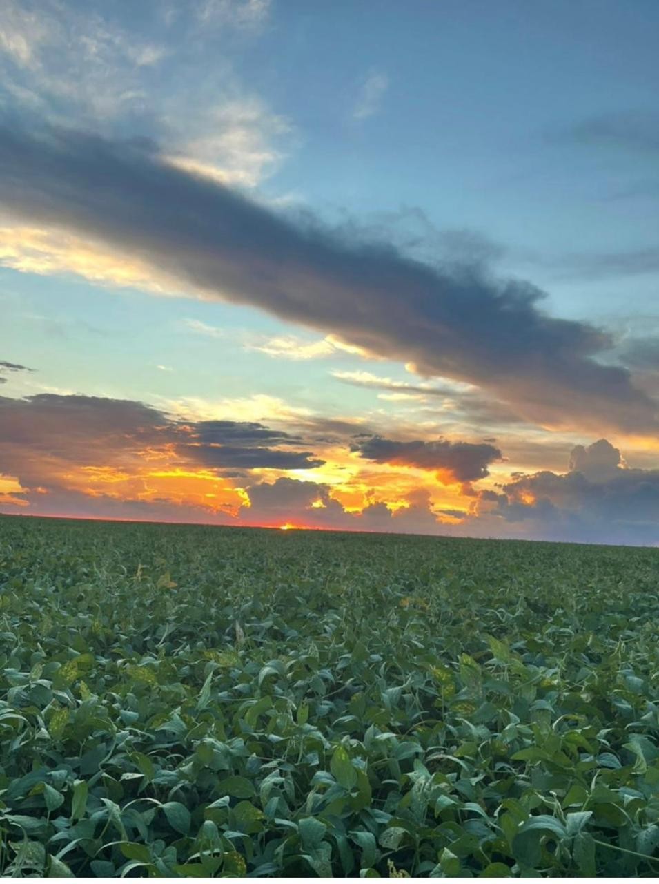 CAMPO EN DESARROLLO - OPORTUNIDAD ÚNICA DE INVERSIÓN EN CANINDEYÚ, CORPUS CHRISTI — foto 2