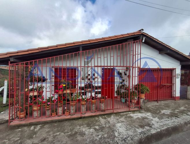 Finca en venta en San Felix, Bello, 1800 m² · foto 10 de 18