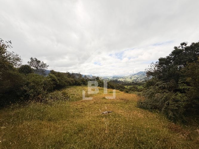 Lote en venta en Pradera De Potosi, La Calera, 2500 m² · foto 7 de 20
