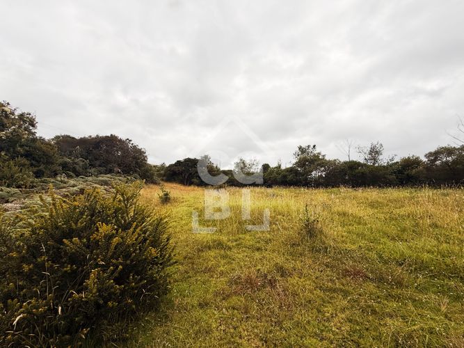 Lote en venta en Pradera De Potosi, La Calera, 2500 m² · foto 15 de 20