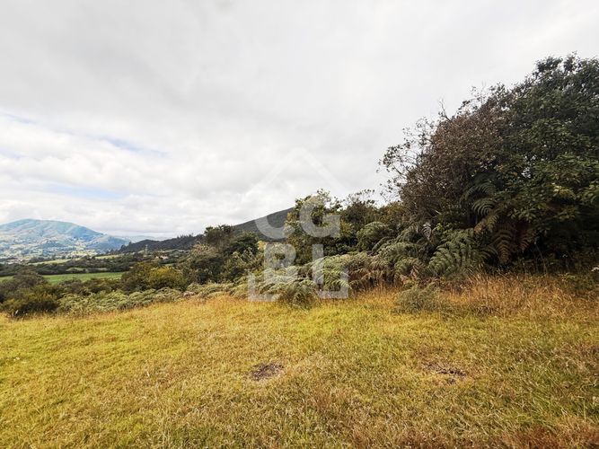 Lote en venta en Pradera De Potosi, La Calera, 2500 m² · foto 14 de 20