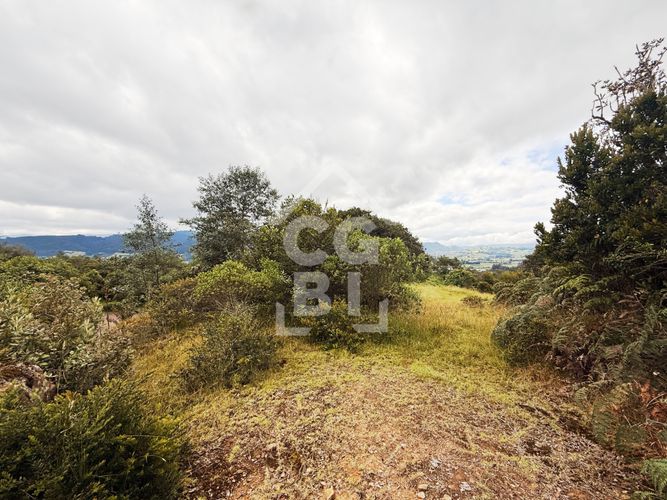 Lote en venta en Pradera De Potosi, La Calera, 2500 m² · foto 16 de 20