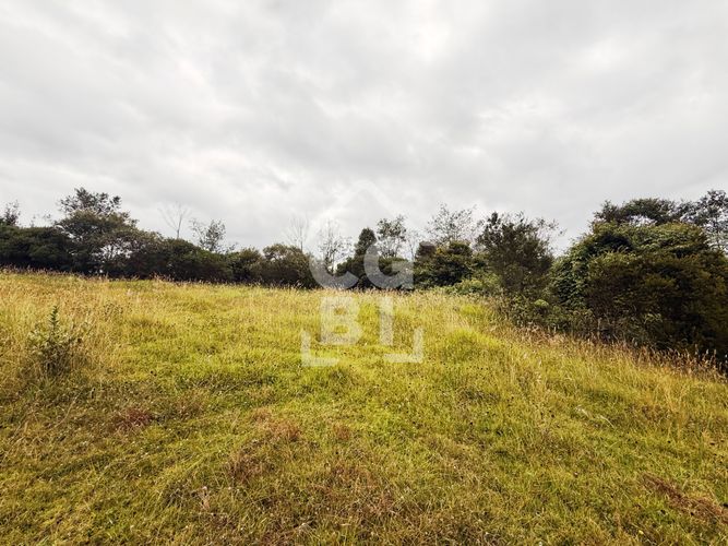 Lote en venta en Pradera De Potosi, La Calera, 2500 m² · foto 17 de 20