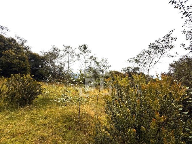 Lote en venta en Pradera De Potosi, La Calera, 2500 m² · foto 18 de 20
