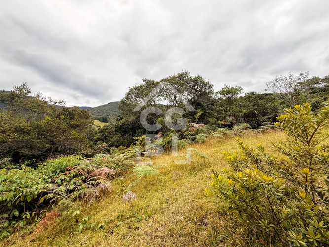 Lote en venta en Pradera De Potosi, La Calera, 2500 m² · foto 19 de 20