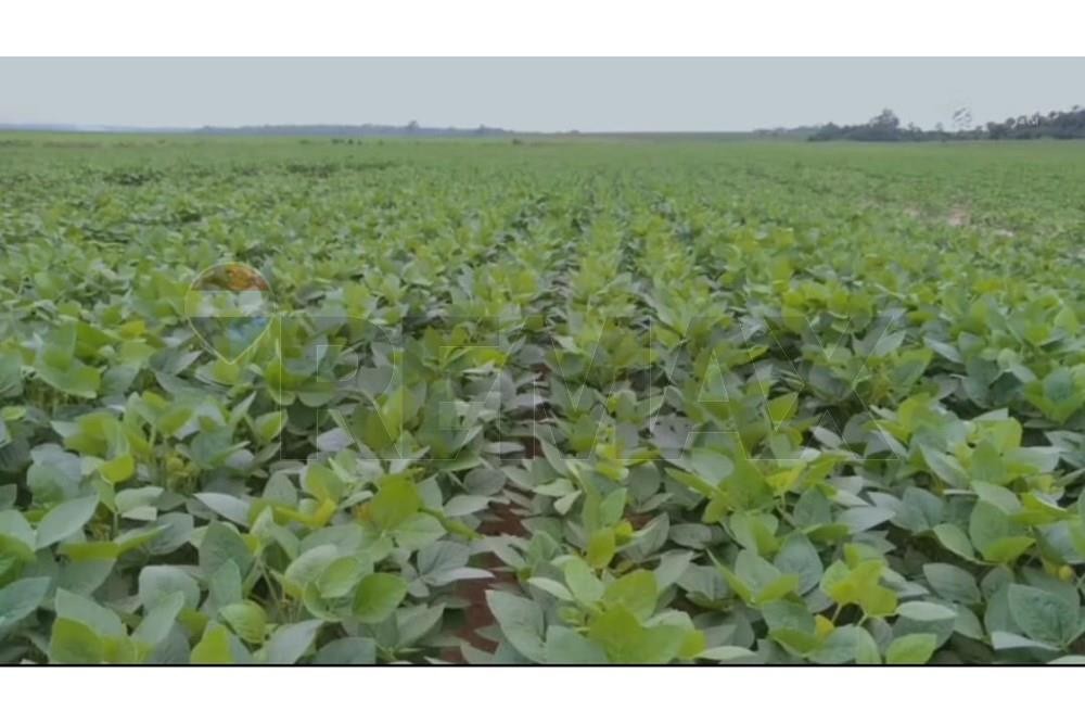 Campo en venta en 3 de Mayo — foto 3