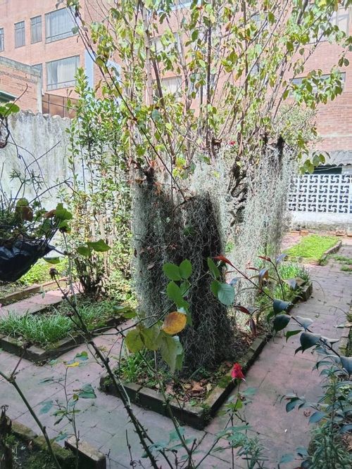 Casa de 8 alcobas en venta en Villemar, Bogotá, 375 m² · foto 19 de 24