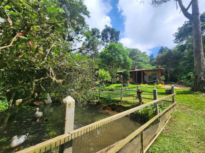 Casa de 4 alcobas en venta en Alto Dapa, Yumbo, 420 m² · foto 8 de 20