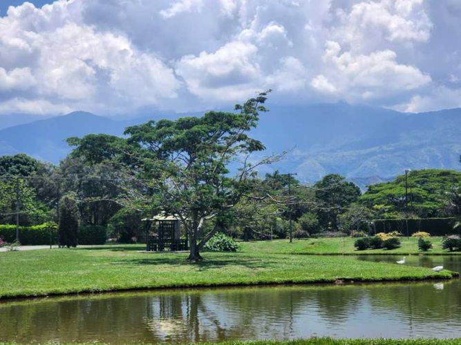 Lote en venta en Las Mercedes, Jamundí, 1931 m² · foto 14 de 23