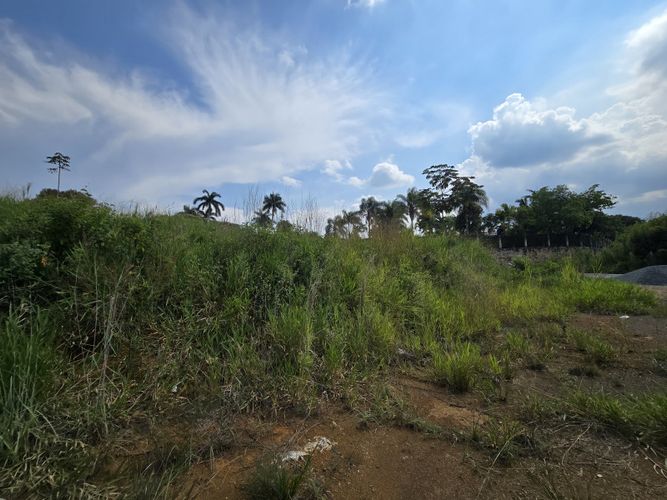 Lote en venta en Pance, Cali · foto 4 de 10