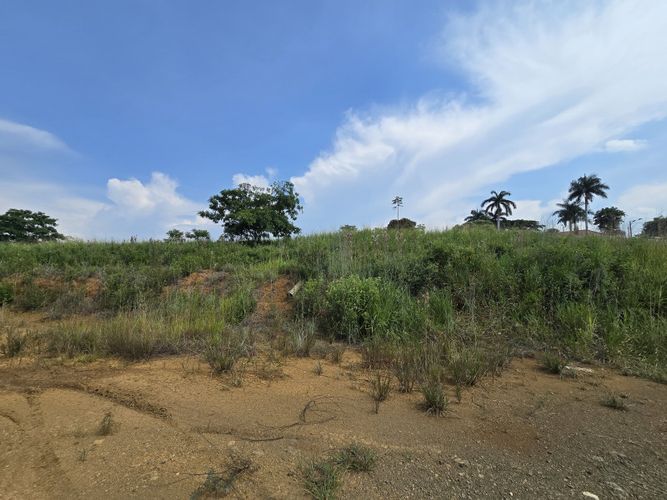 Lote en venta en Pance, Cali · foto 6 de 10