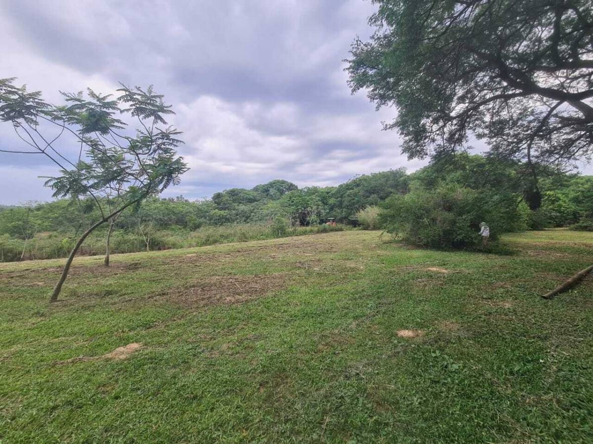 Vendo 2 hectáreas en Luque Isla Bogado — foto 2