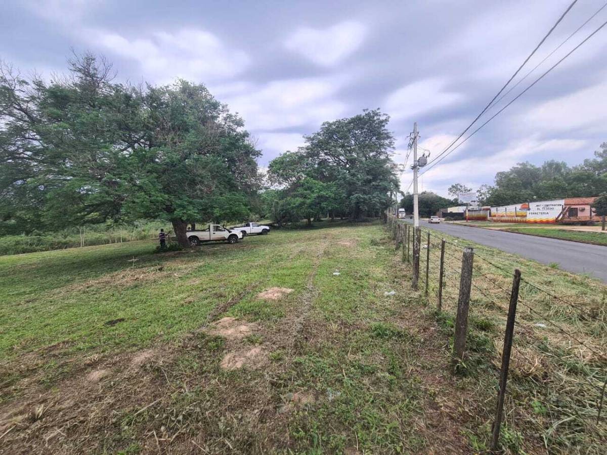 Vendo 2 hectáreas en Luque Isla Bogado — foto 3