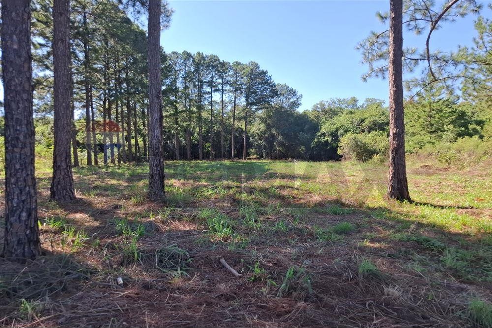 Terreno en venta en Capitán Miranda — foto 2