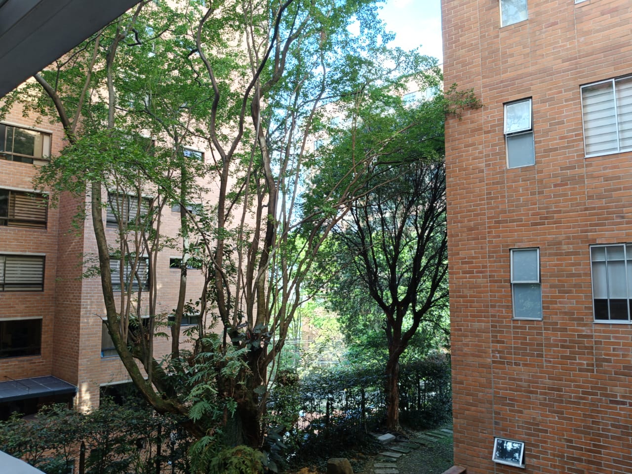 Apartamento en arriendo en Castropol, Medellín · foto 12 de 21