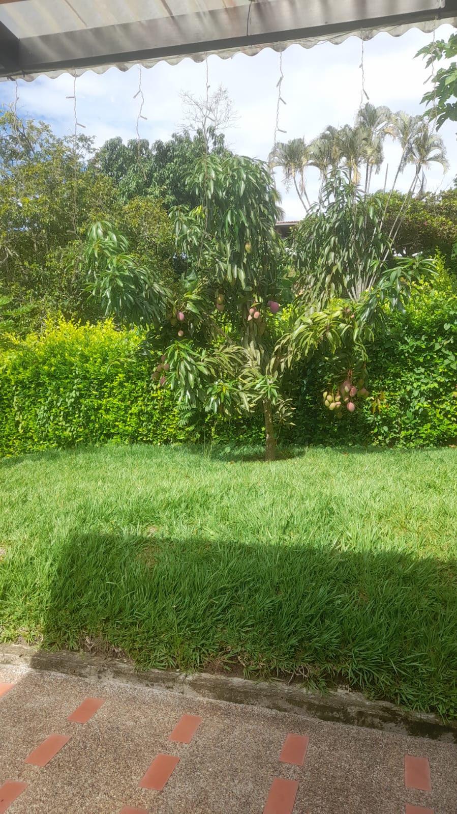 Casa en venta en Kilometro 41, Manizales · foto 11 de 24