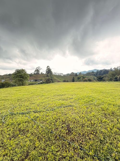 Lote en venta en El Tablazo, Rionegro, 3300 m² · foto 10 de 10