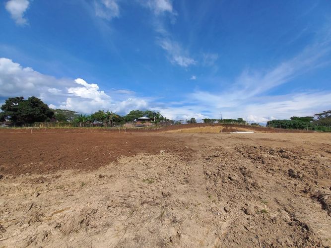 Lote en venta en Cerritos, Pereira, 1060 m² · foto 2 de 16