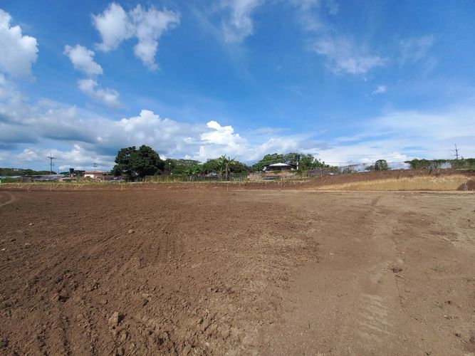 Lote en venta en Cerritos, Pereira, 1060 m² · foto 4 de 16