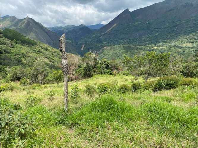 Lote en venta en Capitan, Cajicá, 9200 m² · foto 3 de 7