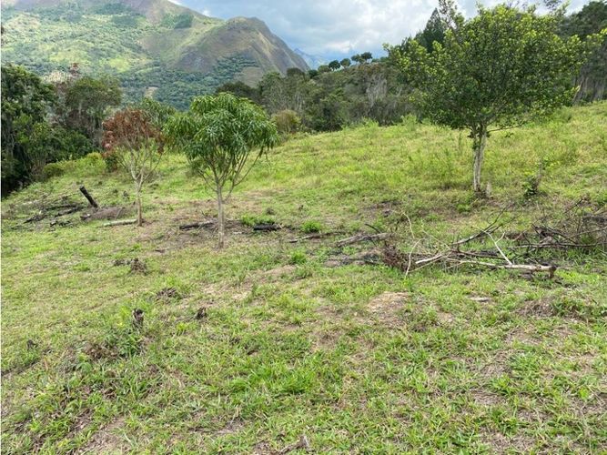 Lote en venta en Capitan, Cajicá, 9200 m² · foto 4 de 7