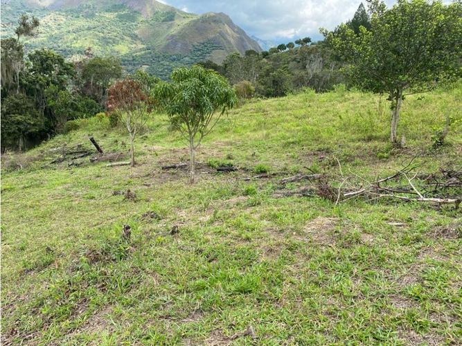 Lote en venta en Capitan, Cajicá, 9200 m² · foto 5 de 7