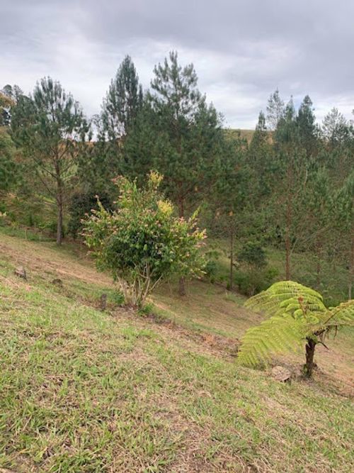 Lote en venta en El Portento, El Retiro, 5281 m² · foto 4 de 5
