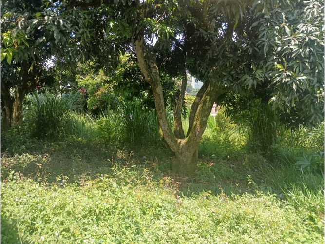Lote en venta en San Antonio De Prado, Itagüí, 5 m² · foto 14 de 24