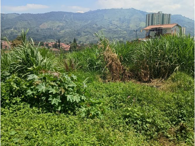 Lote en venta en San Antonio De Prado, Itagüí, 5 m² · foto 18 de 24