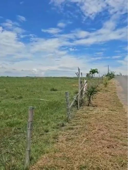 Lote en venta en Cerritos, Pereira · foto 4 de 7