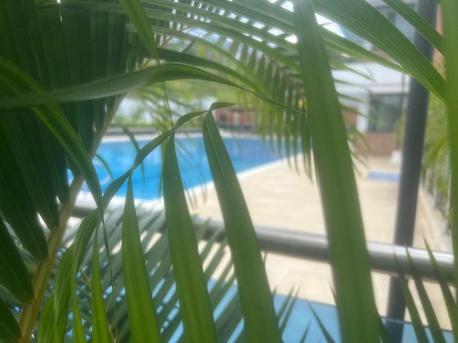 Apartamento de 3 alcobas en venta en El Tejar, Bucaramanga, 165 m² · foto 23 de 24